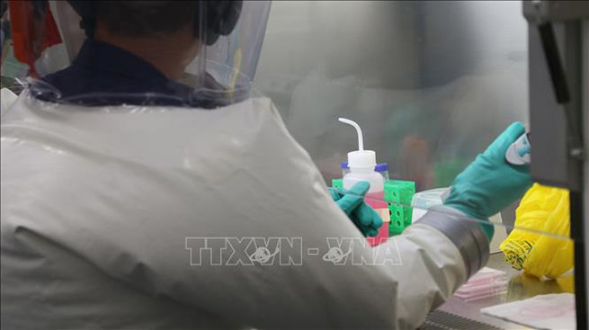  Chuyên gia nghiên cứu vaccine phòng Covid-19 trong phòng thí nghiệm thuộc Cơ quan Nghiên cứu Khoa học và Công nghiệp Australia (CSIRO) ở Geelong, Australia ngày 2-4-2020. Ảnh: THX/TTXVN