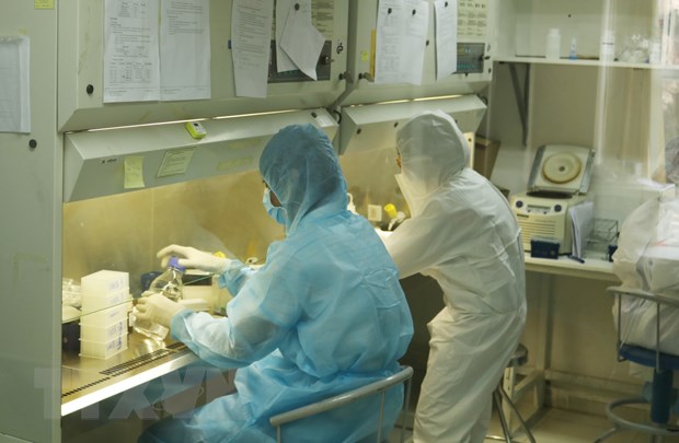 Nhân viên Viện Pasteur Thành phố Hồ Chí Minh xét nghiệm virus SARS-CoV-2. (Ảnh: Đinh Hằng-TTXVN)