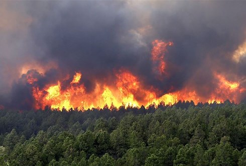 Nắng nóng trên diện rộng, nguy cơ xảy ra cháy rừng