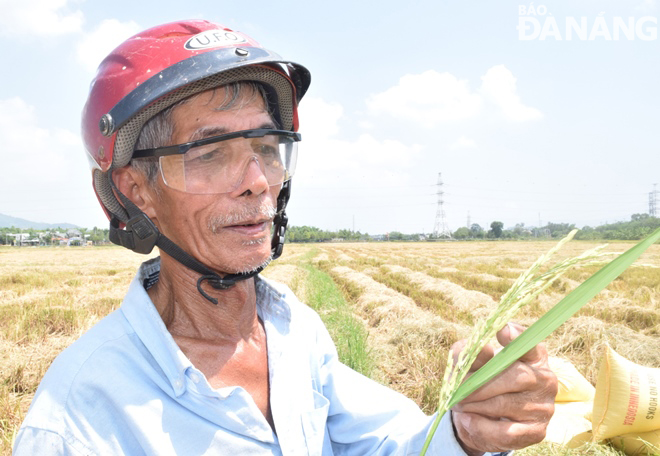 Lão nông Ngô Văn Đàng chia sẻ kinh nghiệm về phát hiện các bệnh và chăm sóc lúa. Ảnh: HOÀNG HIỆP