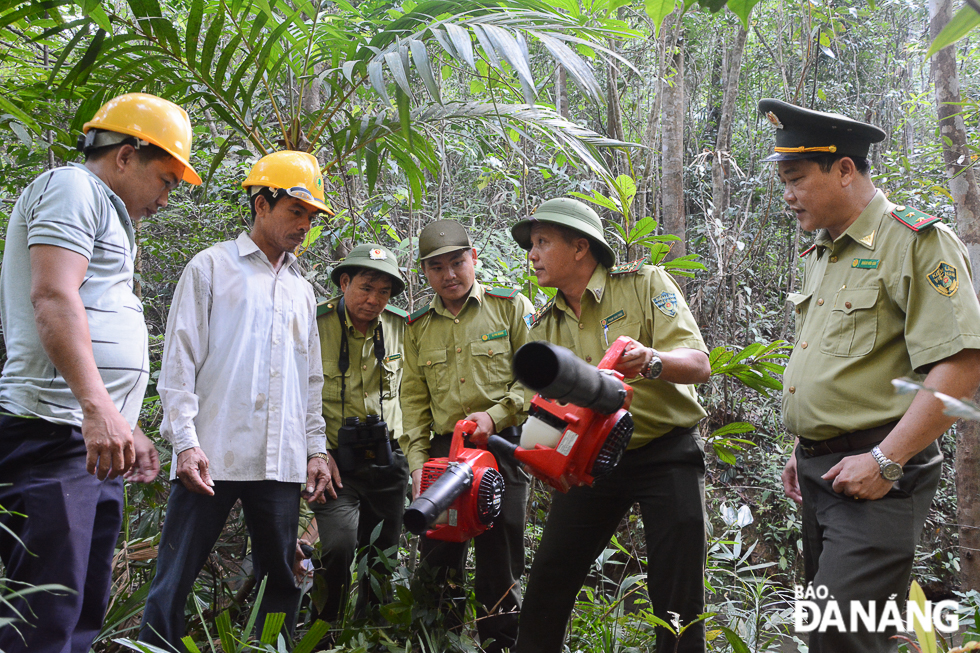 Các hạt kiểm lâm, ban quản lý rừng tăng cường giám sát, kiểm tra các chủ rừng trong việc chấp hành các quy định về PCCCR; phối hợp với ban quản lý các khu du lịch sinh thái giám sát và nhắc nhở du khách lưu ý việc an toàn trong sử dụng lửa khi tham quan rừng... Đồng thời xử lý nghiêm các vi phạm về PCCCR.