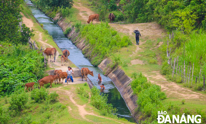 Con kênh dẫn nước ở gần ngôi làng của người Hrê thuộc địa phận xã miền núi Sơn Ba, huyện Sơn Hà.