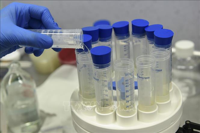 Nhân viên y tế nghiên cứu để tìm ra vaccine phòng COVID-19 tại phòng thí nghiệm bệnh viện ở Bologna, Italy ngày 15/4. Ảnh: AFP/TTXVN