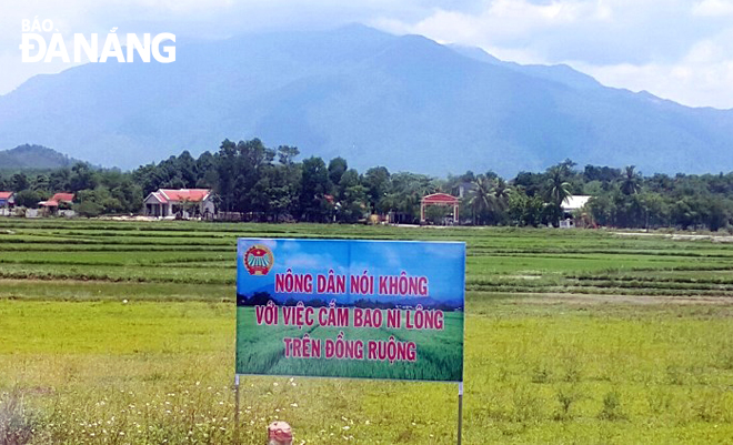 Bảng hiệu tuyên truyền được đặt tại cánh đồng ở xã Hòa Phong nhằm nâng cao nhận thức của người nông dân.  		        Ảnh: VĂN HOÀNG