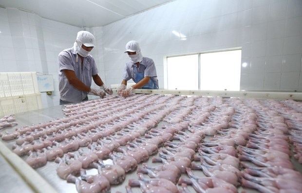A frog meat processing line exported to the EU at Tan Thanh Loi Co., Ltd., in the southern province of Long An.