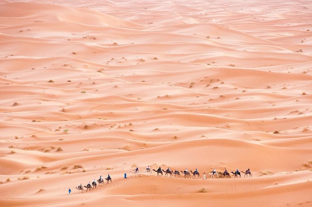 7 Nhiếp ảnh gia người Croatia - Saša Huzjak thực hiện bức ảnh “Đoàn bộ hành trên sa mạc” chụp tại Erg Chebbi, Morocco.
