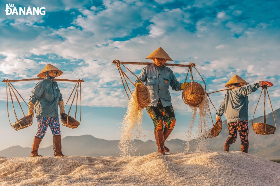 Ninh Thuận sở hữu nhiều đồng muối lớn tại Việt Nam, không khó để ta bắt gặp những diêm dân hăng say lao động dưới cái gió như phang, nắng như rang.