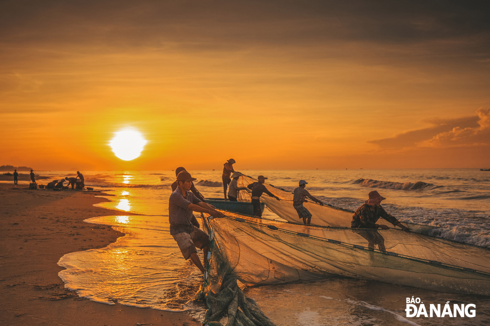 Ngư dân kéo lưới rùng thu hoạch cá trên biển Ninh Chữ.