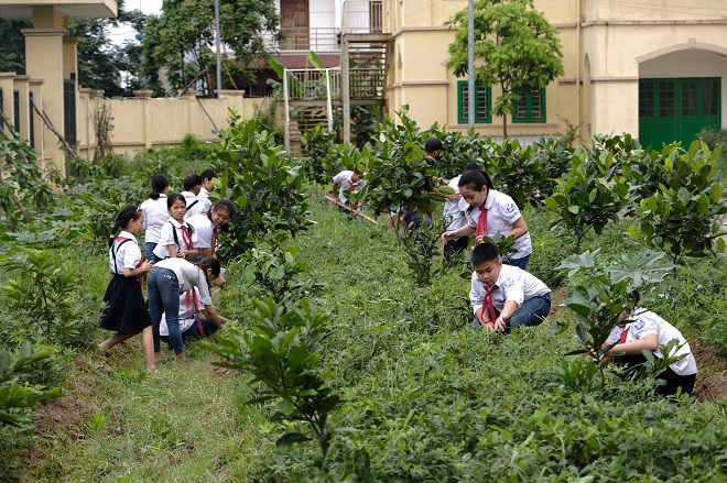Các em học sinh chăm sóc vườn cây được “Quỹ 1 triệu cây xanh cho Việt Nam” trao tặng, học cách phân biệt các loại cây, tìm hiểu lợi ích của cây với môi trường và cuộc sống.