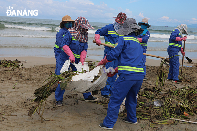 Các công nhân của Xí nghiệp môi trường sông biển đang tiến hành dọn sạch rác thải dọc bờ biển đường Võ Nguyên Giáp. Ảnh: VĂN HOÀNG