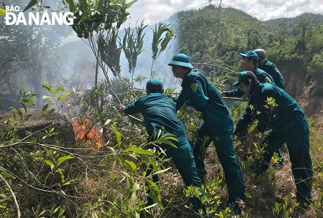 Lực lượng dân quân xã Hòa Nhơn chữa cháy tại khu vực rừng trồng phía tây núi Phước Tường. Ảnh: C.T