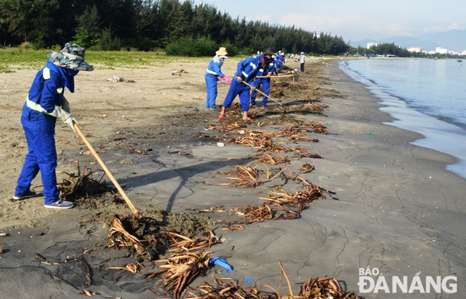 Do các phương tiện cơ giới khó tiếp cận bãi biển dọc đường Nguyễn Tất Thành nên các công nhân Công ty CP Môi trường Đô thị Đà Nẵng và các lực lượng ra quân phải sử dụng các công cụ thô sơ để thu gom rác. Ảnh: HOÀNG HIỆP