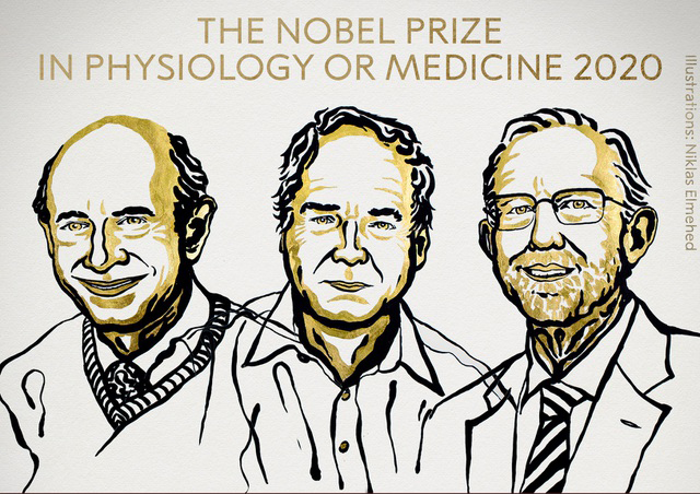 Ba nhà khoa học thắng giải Nobel Y Sinh học với nghiên cứu về viêm gan C