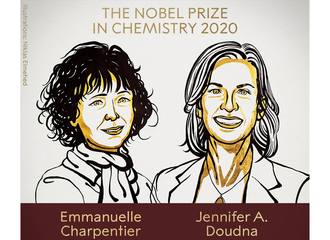 Giải Nobel Hóa học năm 2020 thuộc về hai nhà khoa học Emmanuelle Charpentier và Jenifer A.Doudna