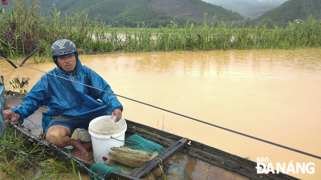  Mr Nguyen Bac Phuong, a shrimp farmer in Truong Dinh Village, complained that 5 quintals of shrimp have been swept out by floodwaters.