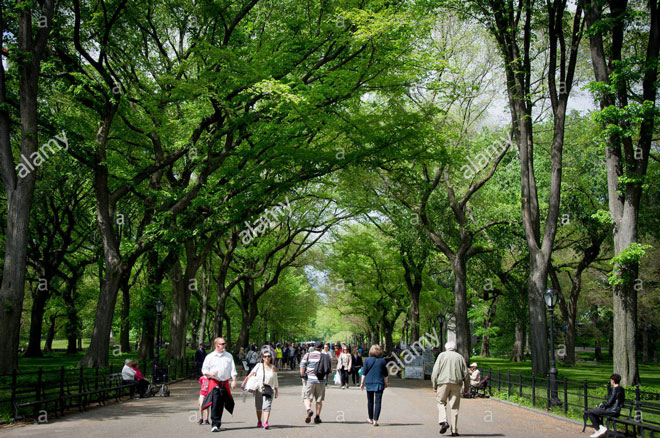 Con đường Văn học (tạm dịch: Literary Walk) là một trong 5 con đường đẹp nhất của Công viên Trung tâm (Central Park) ở thành phố New York (Mỹ). Ảnh: alamy.com