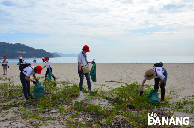 Thanh niên Đà Nẵng ra quân dọn vệ sinh môi trường các bãi biển du lịch. Ảnh: PV
