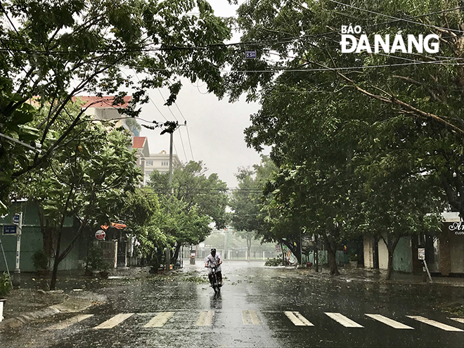 Trong nội thành ở phường Hòa Cường Nam, gió giật mạnh. Một người dân di chuyển ngoài đường bằng phương tiện xe gắn máy nhưng rất khó khăn lưu thông. Ảnh: KHANH NINH