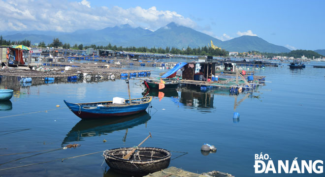 Tình trạng nuôi cá lồng bè trên vịnh Mân Quang vẫn tiếp diễn. (Ảnh chụp ngày 5-10-2020) Ảnh: MINH SƠN