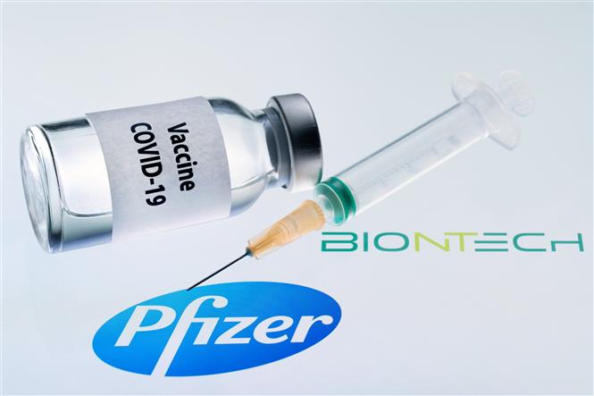 Hình ảnh mô phỏng vaccine ngừa COVID-19 do hai hãng dược phẩm Pfizer của Mỹ và BioNTech của Đức phối hợp bào chế. Ảnh: AFP/TTXVN