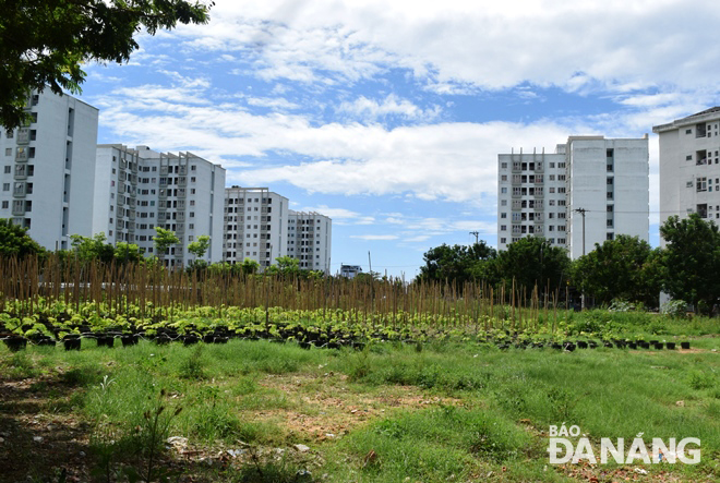 Ghép thửa hơn 1.300 lô đất tái định cư để đầu tư các dự án công trình xã hội
