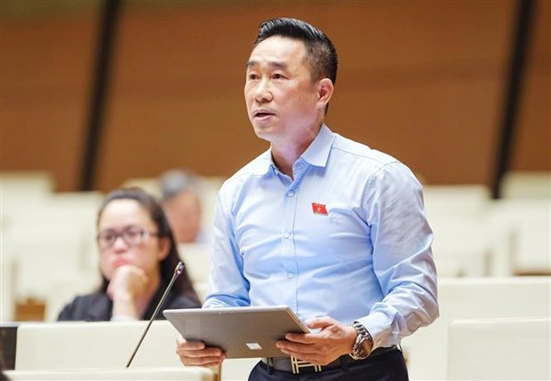 Đại biểu Quốc hội tỉnh Đồng Tháp Nguyễn Hải Anh đặt câu hỏi chất vấn. (Ảnh: Doãn Tấn/TTXVN)