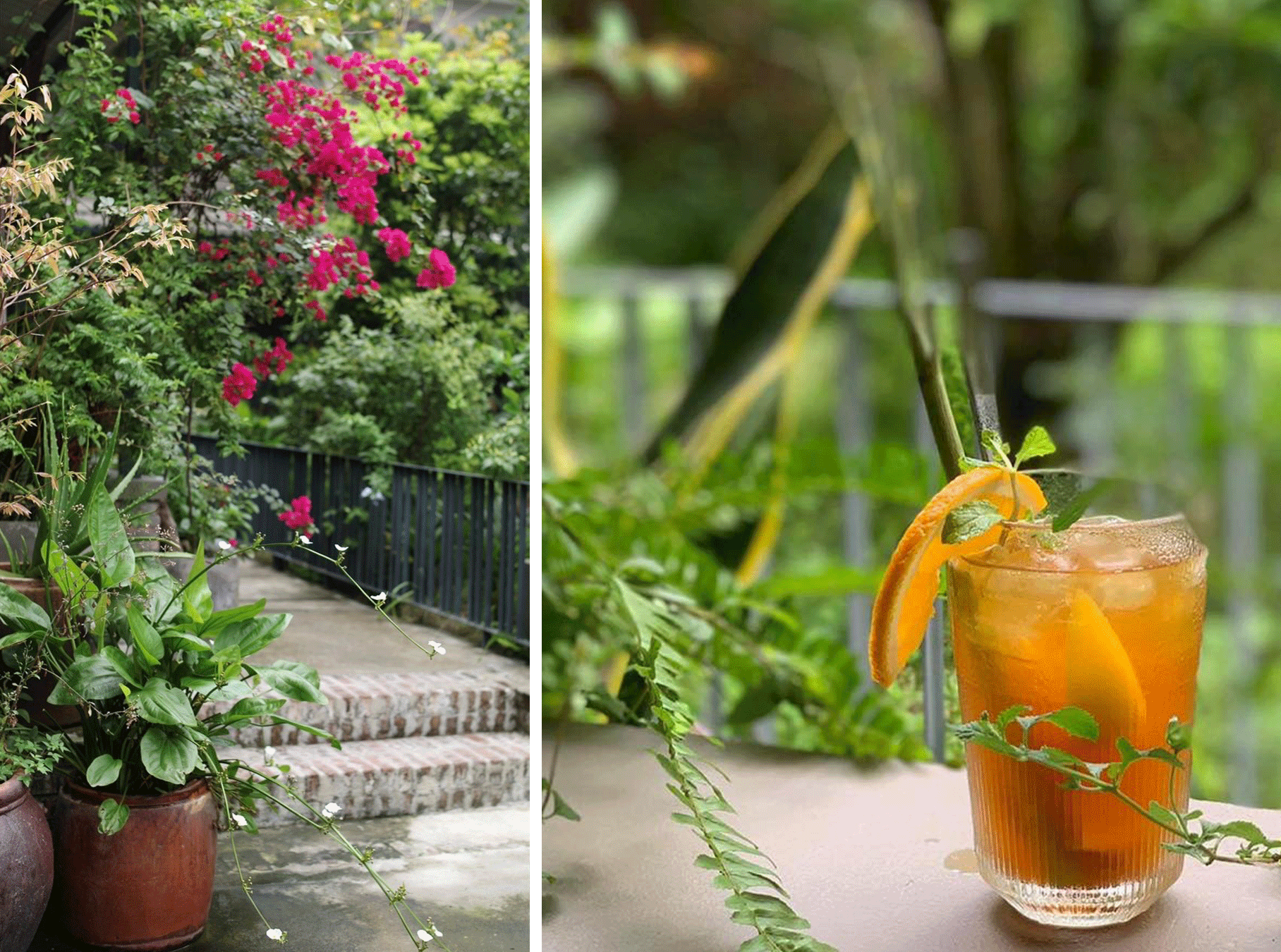 A photo of natural scenery and a cup of fresh peach tea at the Kaia Garden Café. Photo: H.T.V