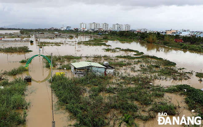 Vùng rau an toàn La Hường, phường Hòa Thọ Đông, quận Cẩm Lệ, bị ngập nặng sau trận mưa kinh hoàng hôm 14-10 vừa qua (ảnh chụp lúc 9 giờ 48 ngày 15-10). Ảnh: V.T.L