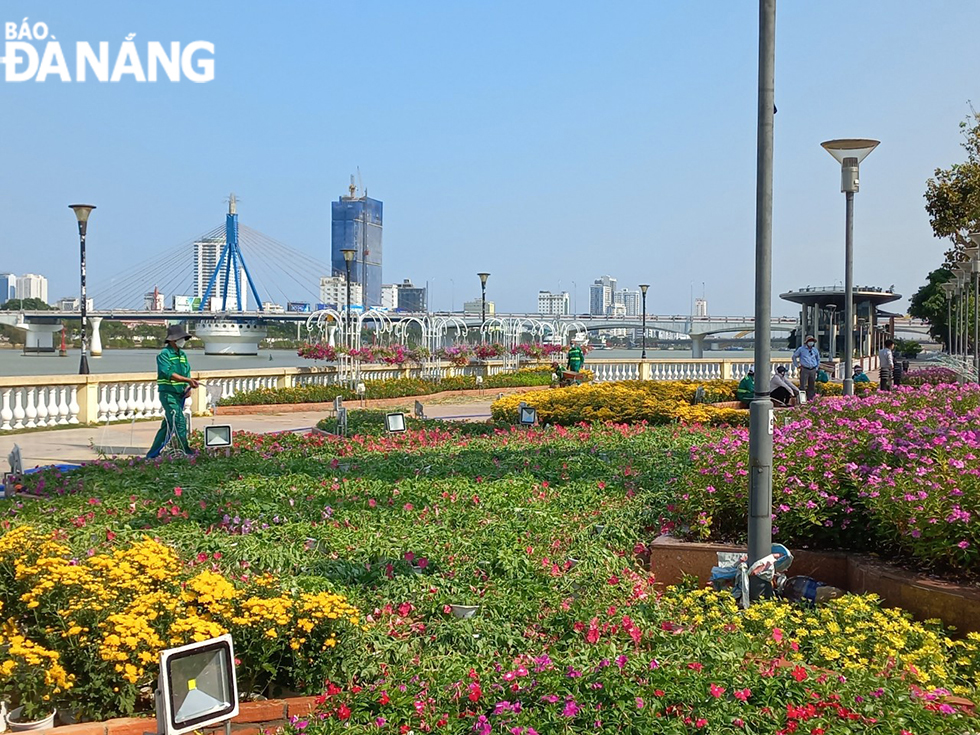 The highlights of the landscape along the Han River continue to be decorated with flowers to welcome Tet 2023. Photo: TRIEU TUNG