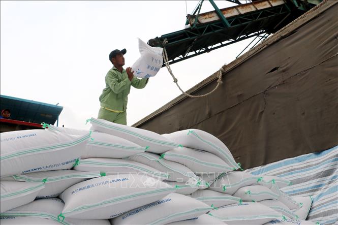 Công nhân bốc xếp gạo xuất khẩu gạo tại Công ty TNHH Lương thực Tấn Vương (huyện Chợ Mới, tỉnh An Giang). Ảnh tư liệu: Công Mạo/TTXVN