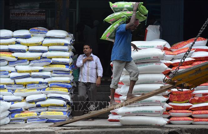 Thị trường nông sản thế giới: Giá gạo xuất khẩu Ấn Độ cao nhất từ tháng 4-2021
