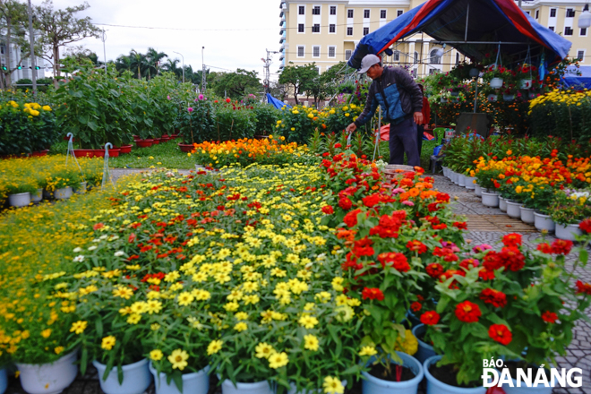 Chợ hoa Tết quy tụ nhiều loại hoa, cây cảnh phong phú phục vụ nhu cầu chưng Tết như: hoa mai, hoa cúc, hoa hồng, quất, thược dược, cánh bướm…