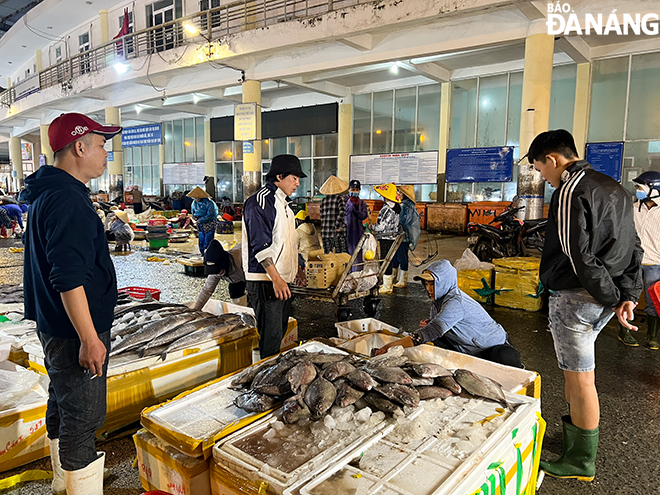 Ngay từ sáng sớm, Chợ đầu mối Thủy sản Thọ Quang đã hoạt động. Ảnh: VH