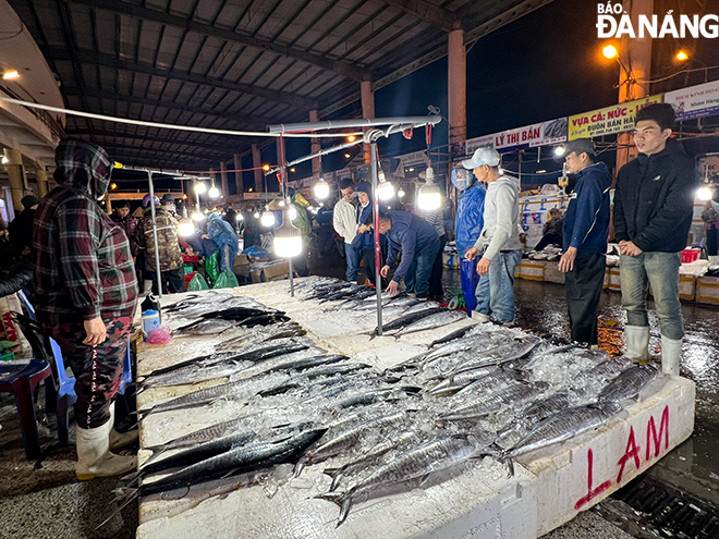Nhiều loại hải sản được bày bán như: cá ngừ, cá thu, cá chim, cá hố, tôm, mực… 