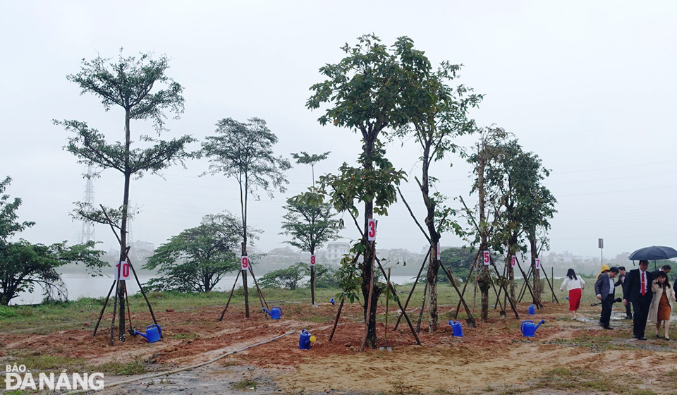Hàng cây bóng mát mới được trồng ở phía trước nhà đón khách của bến thủy nội địa K20.