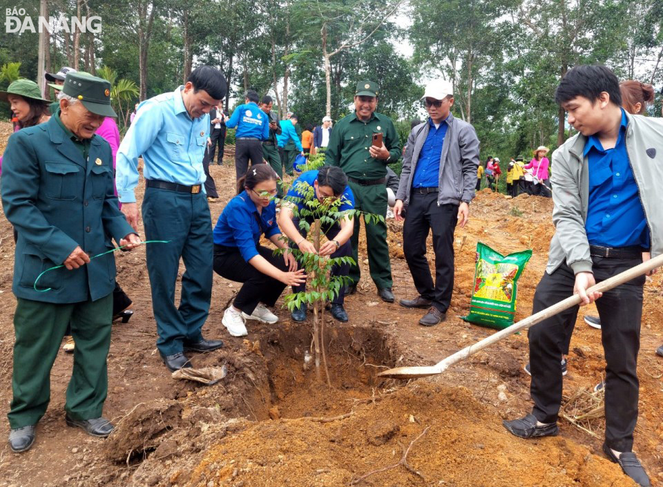 Các cựu chiến binh cùng đoàn viên thanh niên Sở Tài nguyên và Môi trường trồng cây tại Khu căn cứ Huyện ủy Hòa Vang. Ảnh: HOÀNG HIỆP