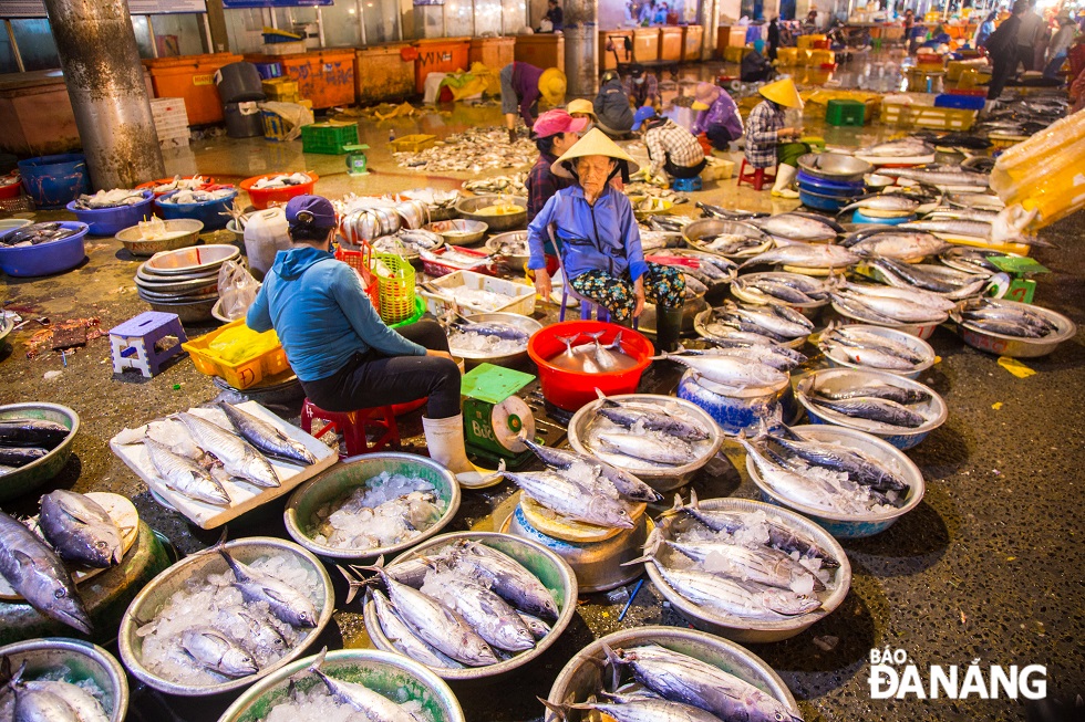 Chợ cá Thọ Quang sẽ đi vào hoạt động từ khoảng 23 giờ - 8 giờ ngày hôm sau.