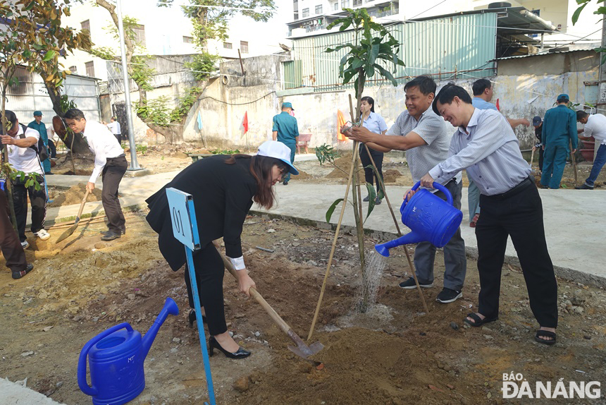 Quận Sơn Trà phát động xã hội hóa trồng cây xanh tại các công viên, vườn dạo