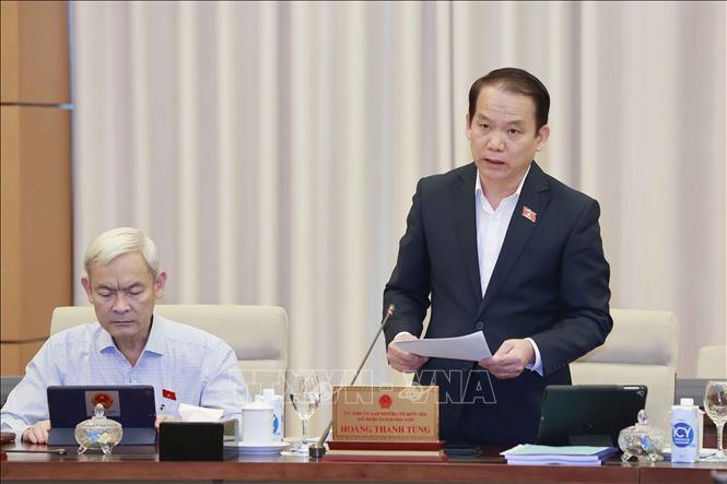 Chủ nhiệm Ủy ban Pháp luật của Quốc hội Hoàng Thanh Tùng trình bày báo cáo thẩm tra. Ảnh: Doãn Tấn/TTXVN
