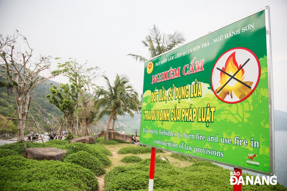 Nhiều biển hiệu nghiêm cấm đốt lửa, không cho khỉ ăn được lực lượng chức năng bố trí ở nhiều khu vực trên bán đảo Sơn Trà.