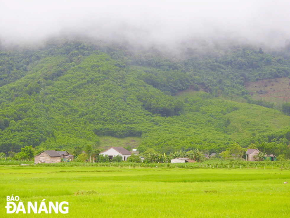 Bao quanh làng là những ngọn núi lớn nhỏ, được thêu dệt với nhiều mảng màu xanh ngắt của những cánh rừng.