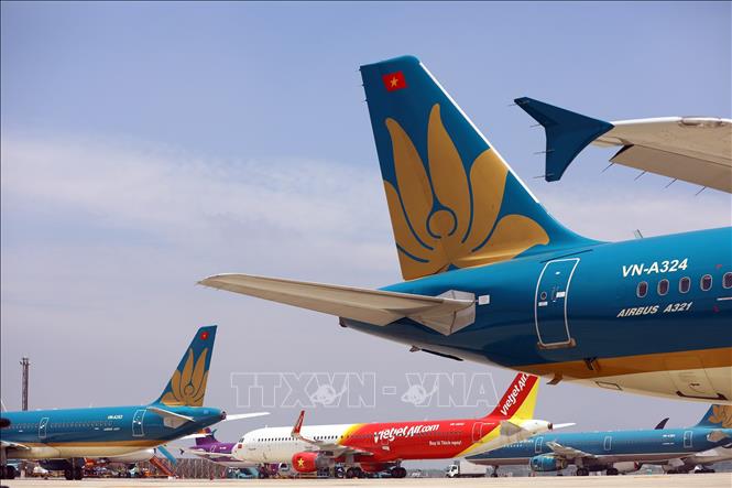 Máy bay của các hãng hàng không tại sân bay Nội Bài. Ảnh: TTXVN