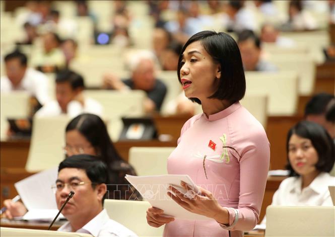 Đại biểu Quốc hội tỉnh Lâm Đồng Trịnh Thị Tú Anh phát biểu. Ảnh: TTXVN