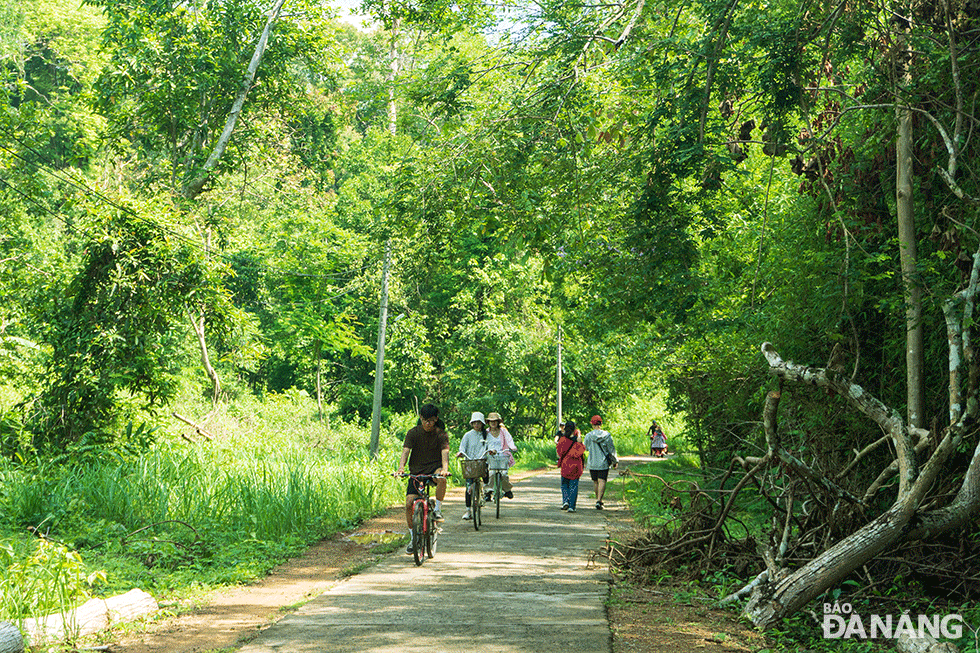 Đạp xe ngắm cảnh giữa thiên nhiên xanh mướt trong rừng Nam Cát Tiên. 