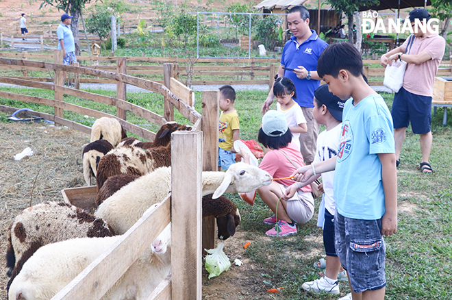 Các hoạt động trải nghiệm cho nhiều độ tuổi giúp An Phú Farm và Banarita Glamping Farm thu hút khách vào mỗi dịp cuối tuần.