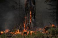 Mỹ, Canada phát cảnh báo sức khỏe do cháy rừng