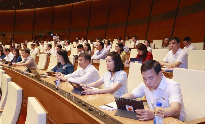 Đoàn đại biểu Quốc hội tỉnh Quảng Bình dự phiên họp. Ảnh: Doãn Tấn/TTXVN