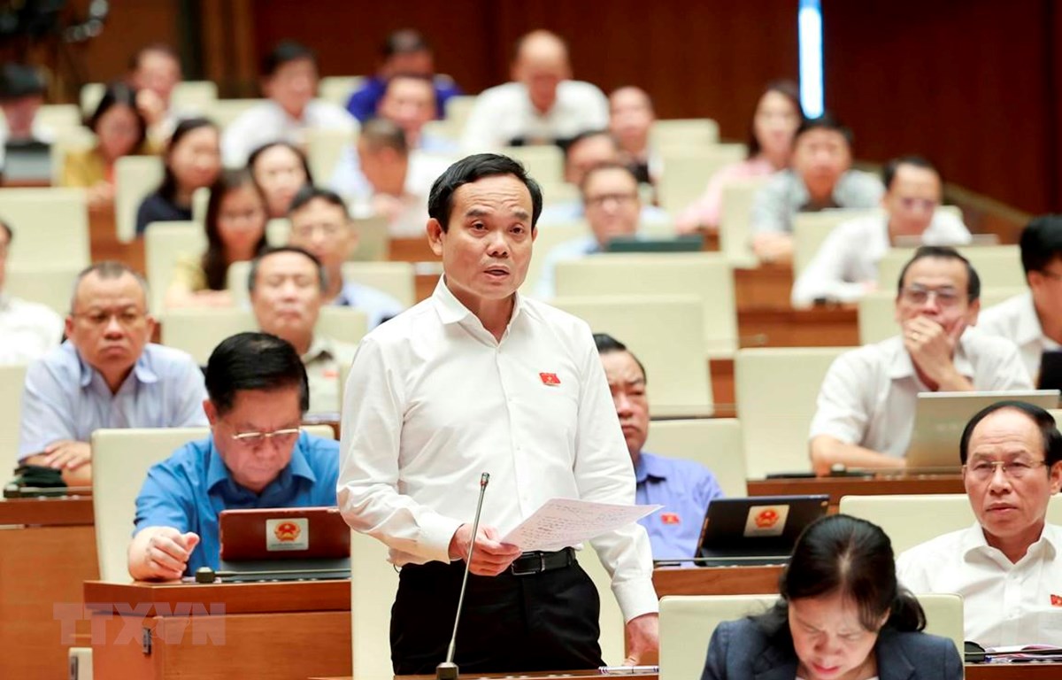 Phó Thủ tướng Chính phủ Trần Lưu Quang trả lời chất vấn, giải trình về những vấn đề có liên quan. (Ảnh: Doãn Tấn/TTXVN)