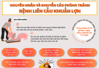 Infographic - Nguyên nhân và khuyến cáo phòng tránh bệnh liên cầu khuẩn lợn