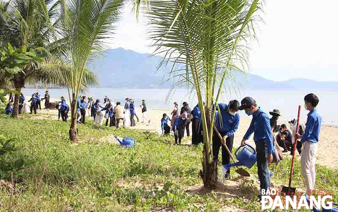 Đoàn viên, thanh niên tham gia trồng cây xanh và dọn rác ven biển. Ảnh tư liệu